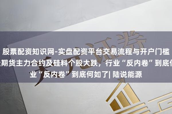 股票配资知识网-实盘配资平台交易流程与开户门槛全面解析 多晶硅期货主力合约及硅料个股大跌，行业“反内卷”到底何如了| 陆说能源