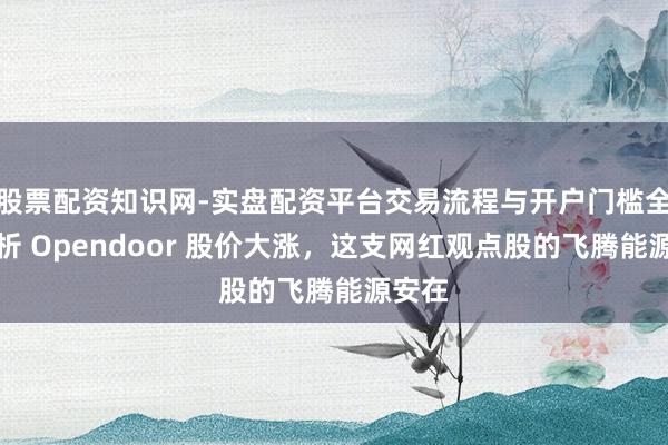 股票配资知识网-实盘配资平台交易流程与开户门槛全面解析 Opendoor 股价大涨，这支网红观点股的飞腾能源安在