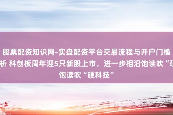 股票配资知识网-实盘配资平台交易流程与开户门槛全面解析 科创板周年迎5只新股上市，进一步相沿饱读吹“硬科技”