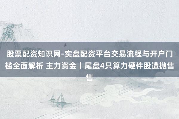 股票配资知识网-实盘配资平台交易流程与开户门槛全面解析 主力资金丨尾盘4只算力硬件股遭抛售
