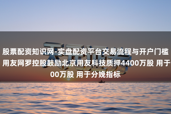 股票配资知识网-实盘配资平台交易流程与开户门槛全面解析 用友网罗控股鼓励北京用友科技质押4400万股 用于分娩指标