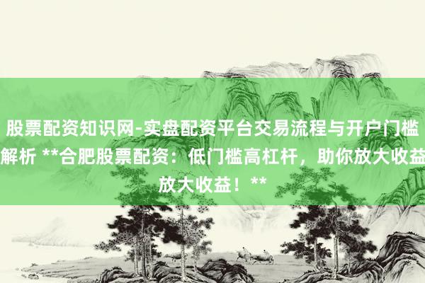 股票配资知识网-实盘配资平台交易流程与开户门槛全面解析 **合肥股票配资：低门槛高杠杆，助你放大收益！**